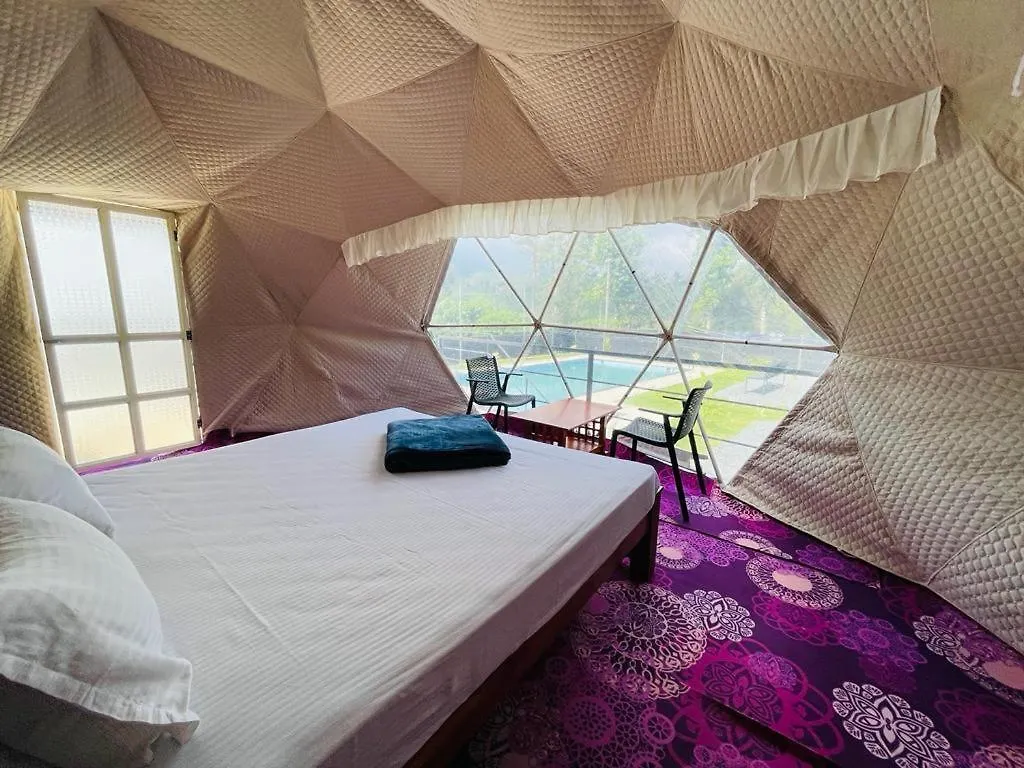 Glamping Mushroom Villa Meppadi